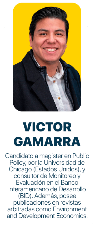 Profe_Wordpress_Victor-Gamarra